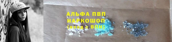 стаф Волосово