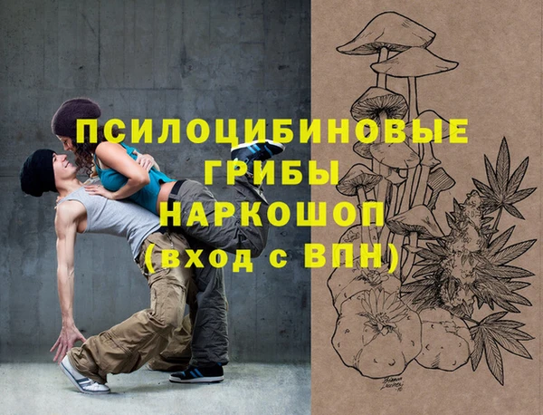 стаф Верхний Тагил