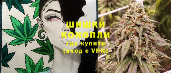 стаф Волосово