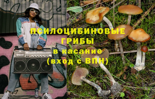 стаф Волосово