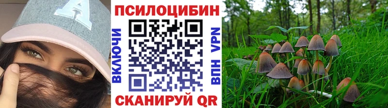 Галлюциногенные грибы мухоморы  купить наркотики цена  Краснообск 