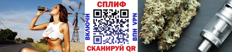 Конопля гибрид  Краснообск 